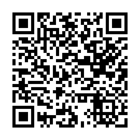 QR code for DYP933