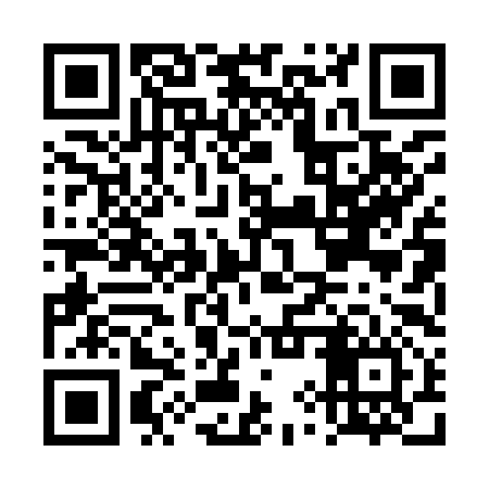 QR code for DYP996