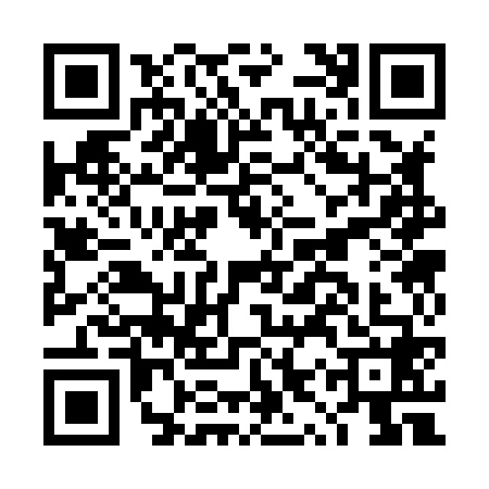 QR code for DYS8688