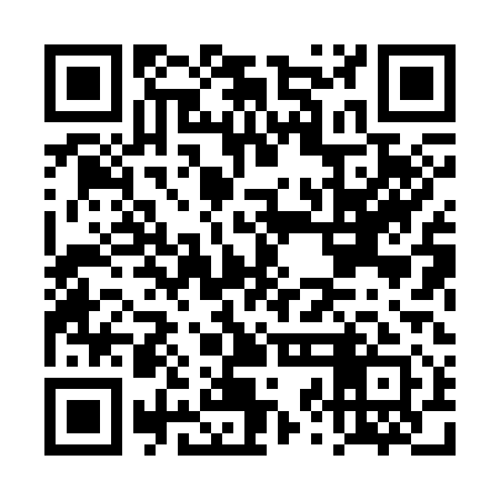 QR code for DZH311