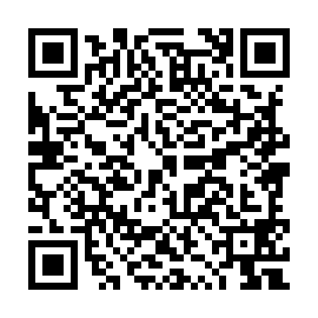 QR code for DZH9988