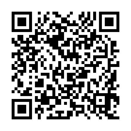QR code for DZI290