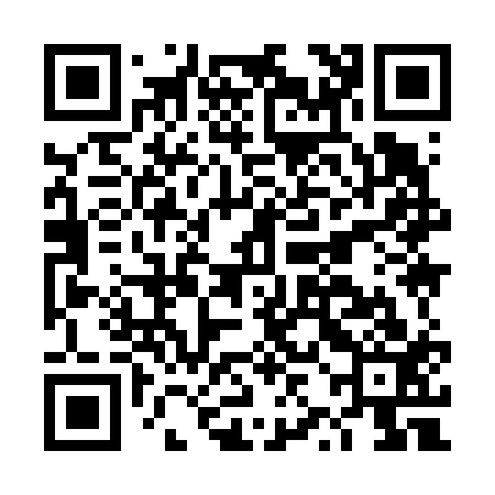 QR code for DZI613