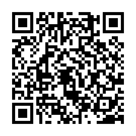 QR code for DZL0790