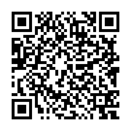 QR code for DZL8323
