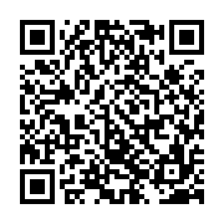 QR code for DZM916