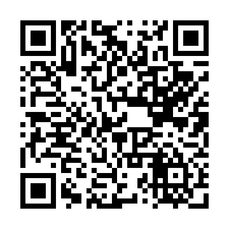 QR code for DZP475