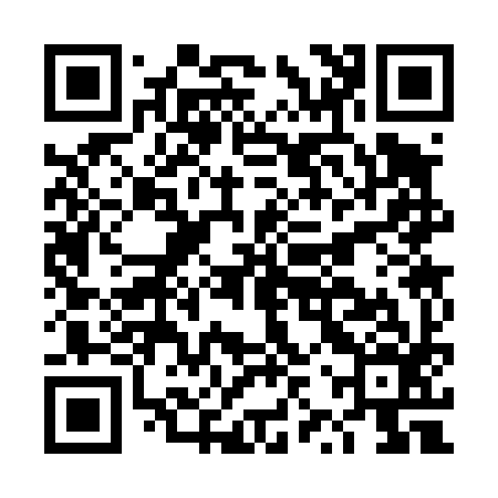QR code for DZS496