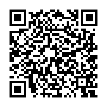 QR code for DZW5595