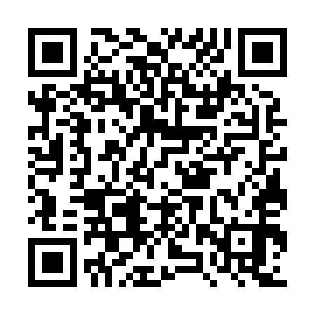 QR code for DZW850