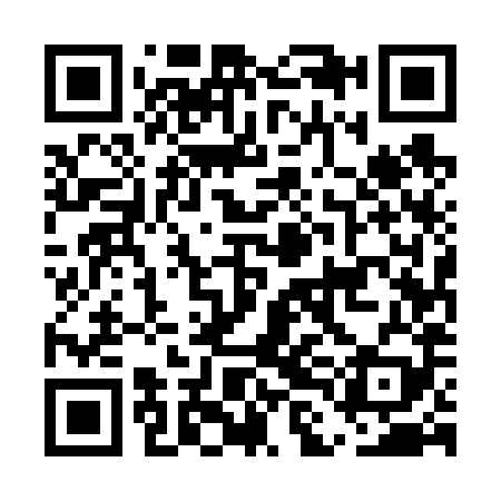 QR code for ELE689