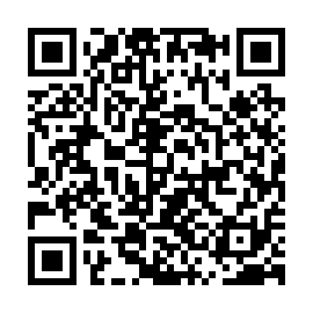 QR code for ESE211