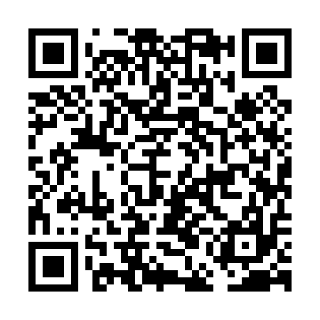 QR code for FEI017