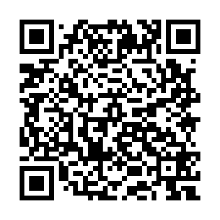 QR code for FEI168