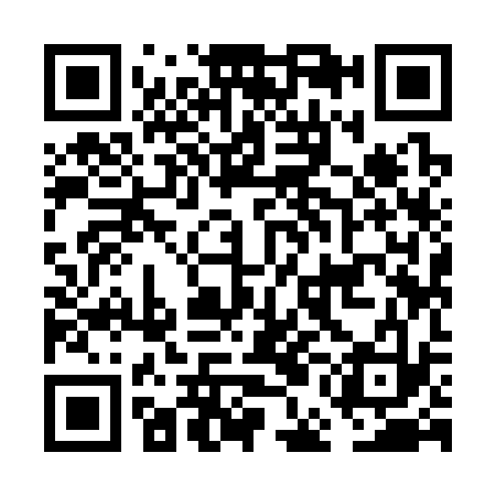 QR code for FEI333