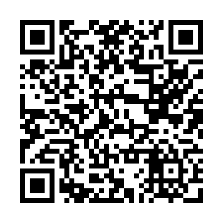 QR code for FFX065