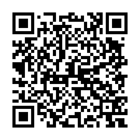 QR code for FFX473