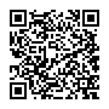 QR code for FJV4329