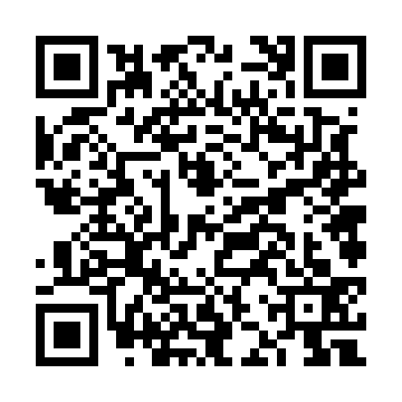 QR code for FJV5335