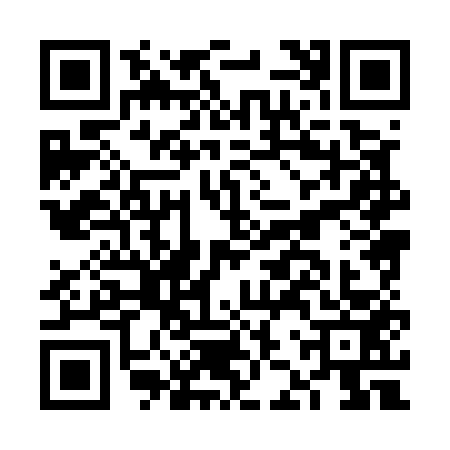 QR code for FJX5539