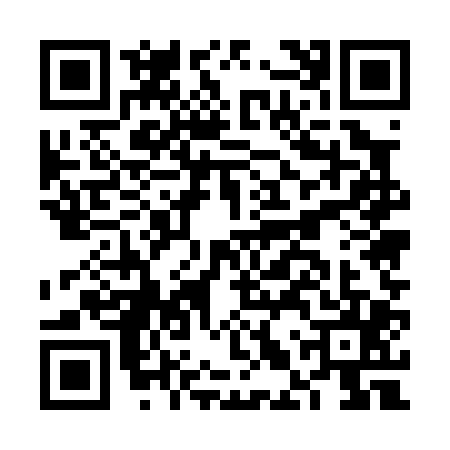 QR code for FLU0053