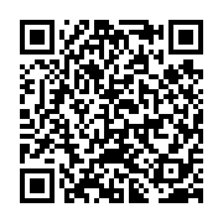 QR code for FLU618