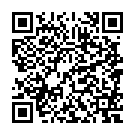 QR code for FLX0849