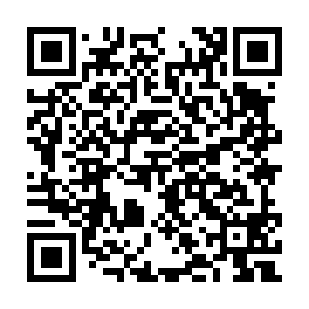 QR code for FLY498