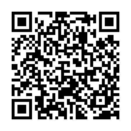 QR code for FLY687