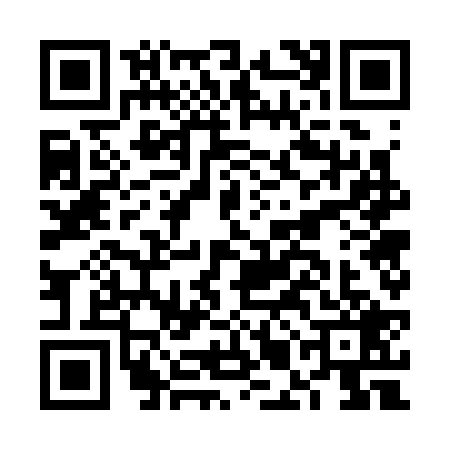 QR code for FMG3294
