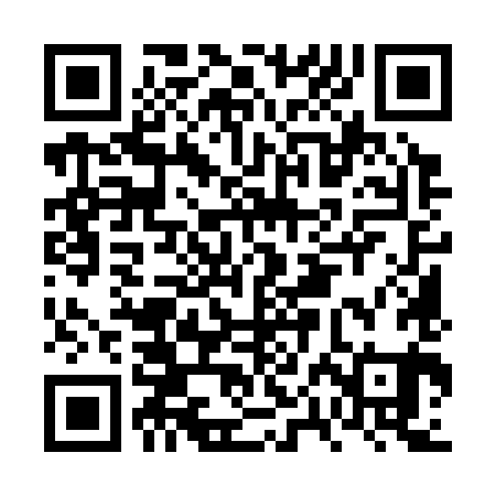 QR code for FPM381