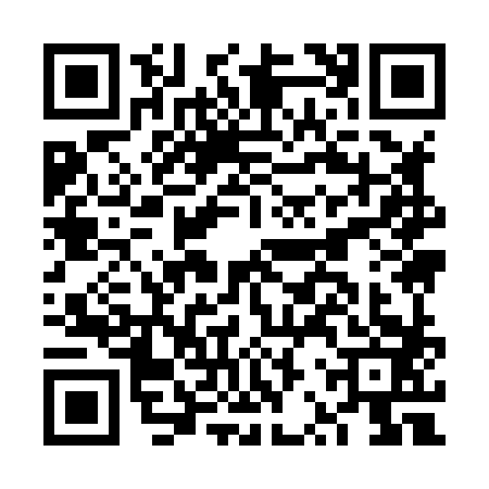 QR code for FRY8838
