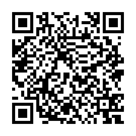 QR code for FSI3353