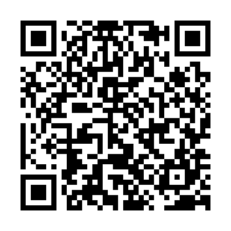 QR code for FSO384