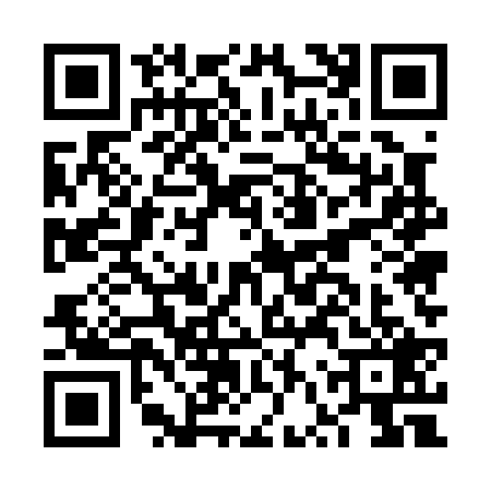 QR code for FVU0294
