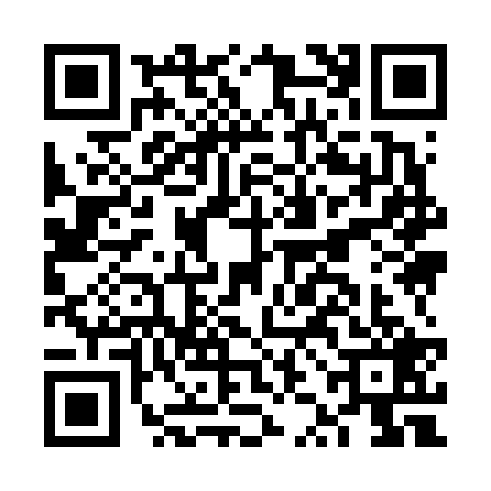 QR code for FZI6295