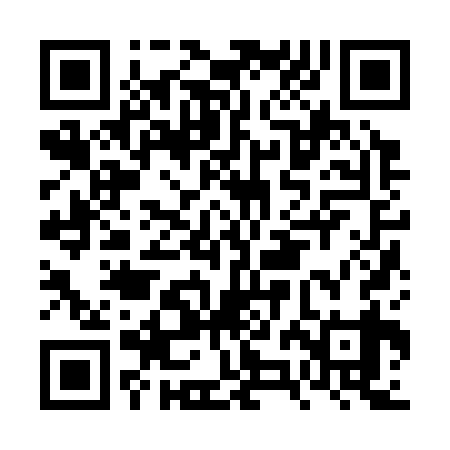 QR code for FZJ339