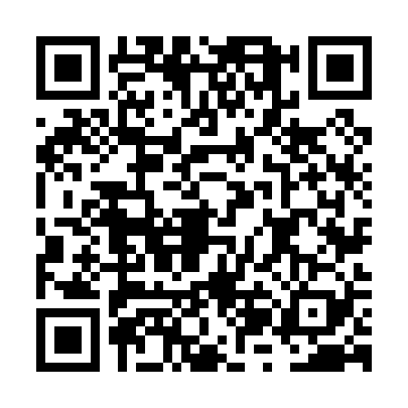 QR code for FZN0293