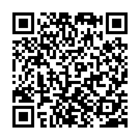 QR code for FZO208