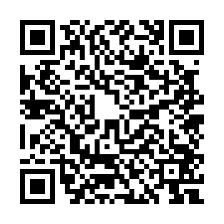 QR code for GAO0439