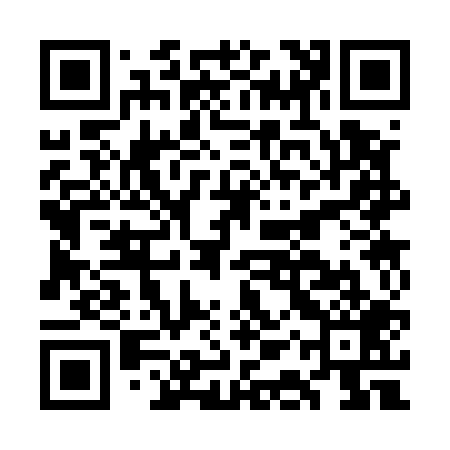 QR code for GAS509