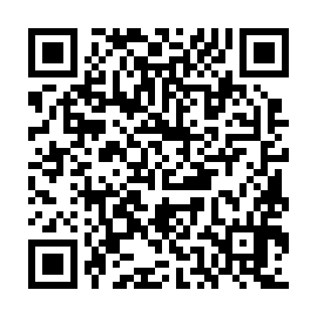 QR code for GEE294