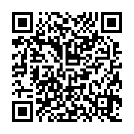 QR code for GIS234