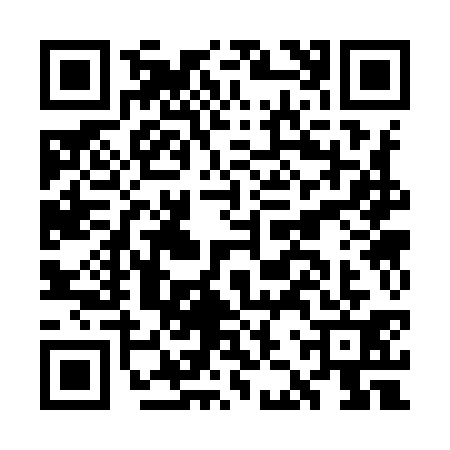 QR code for GJS9311