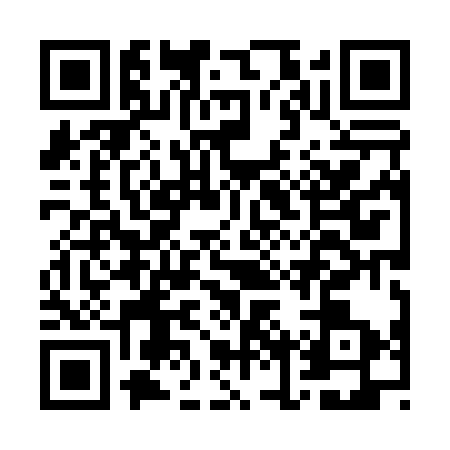 QR code for GNX0338