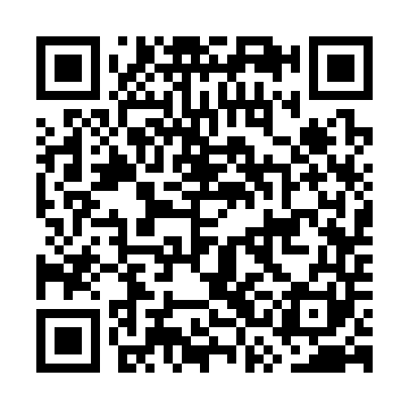 QR code for GSC341