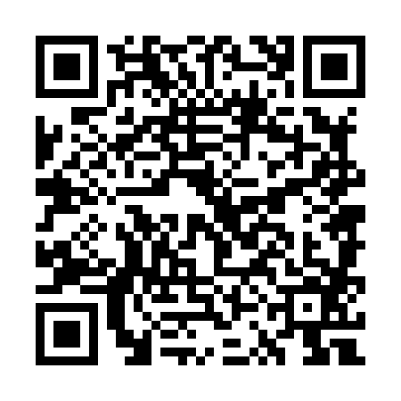 QR code for GSN8863