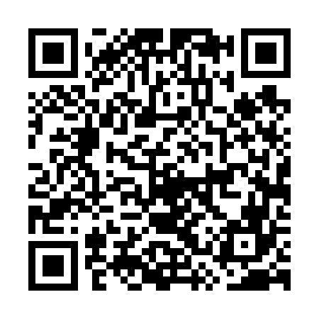QR code for GST666