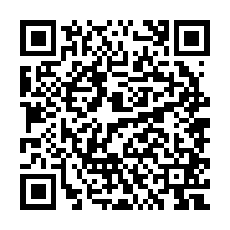 QR code for GYN2413