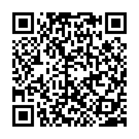 QR code for GYY119